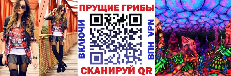 KRAKEN ссылки  Нюрба  Псилоцибиновые грибы GOLDEN TEACHER 