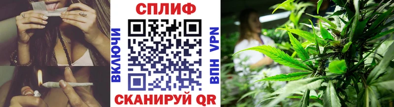 Бошки Шишки AK-47  Нюрба 